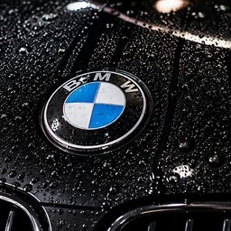 Paint Sealant Protection